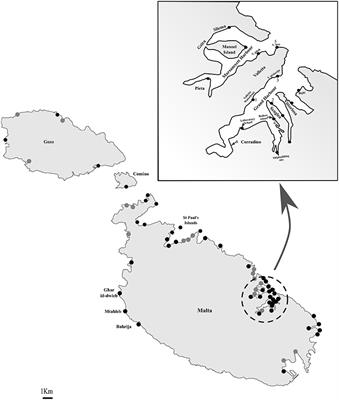 First Central Mediterranean Scientific Field Study on Recreational Fishing Targeting the Ecosystem Approach to Sustainability